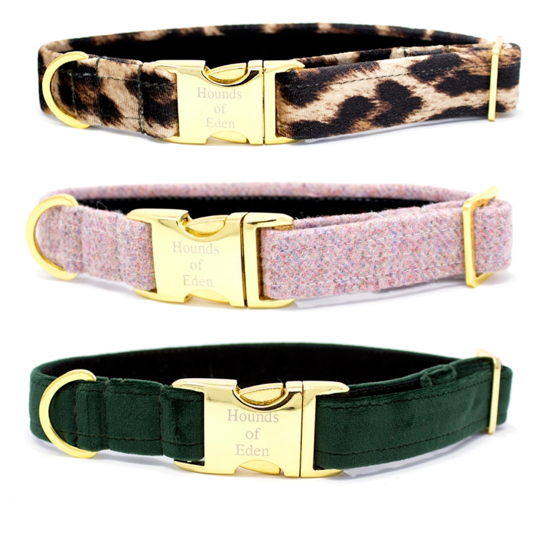 Luxury Dog Collars