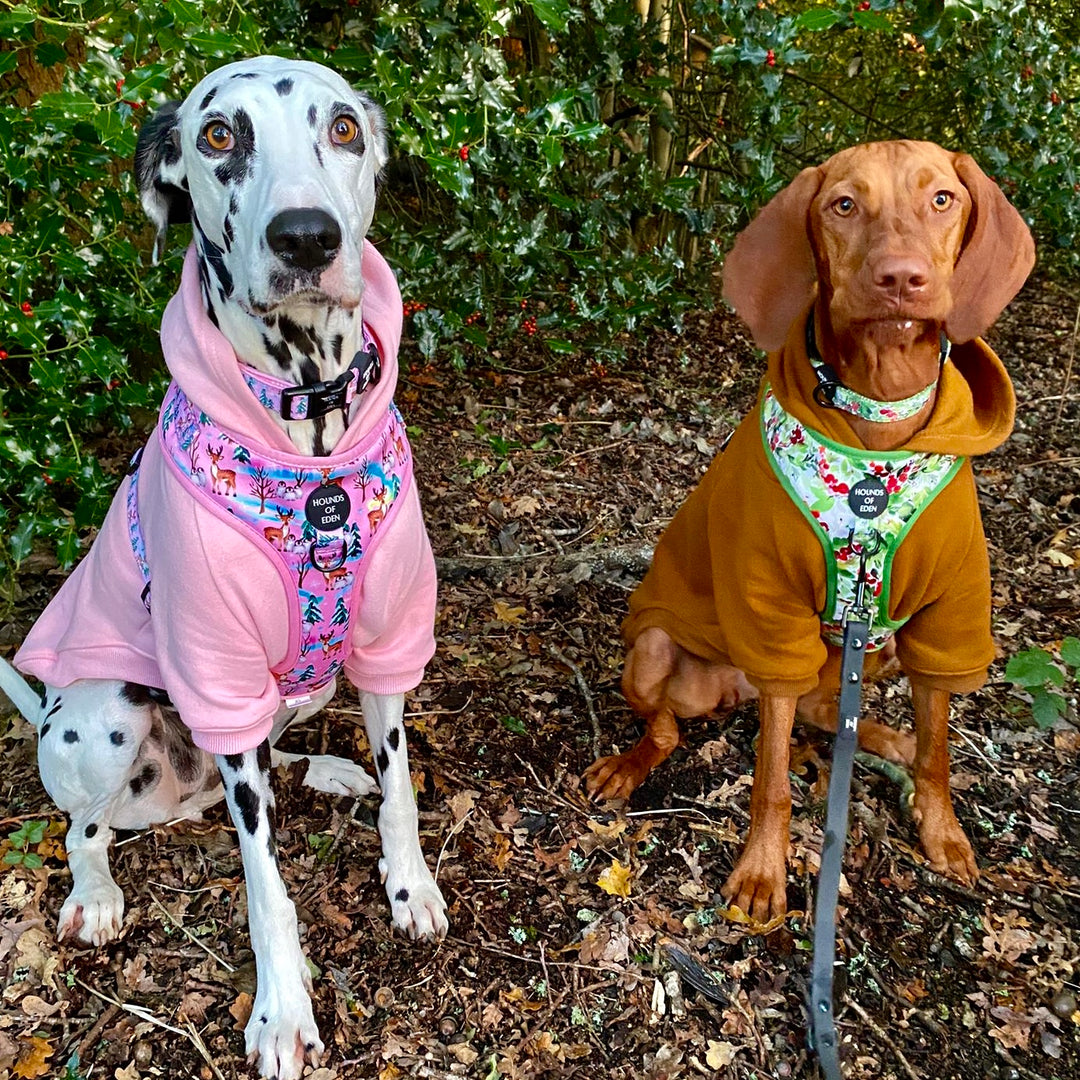 Arnés para perros con diseño de abeto y bayas de invierno 