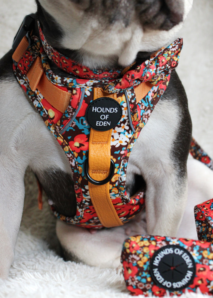 Retro Bloom Leather Dog Collar