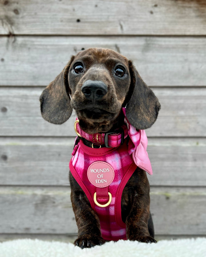 Rose Berry Plaid - Adjustable Dog Harness (XXS-XS)