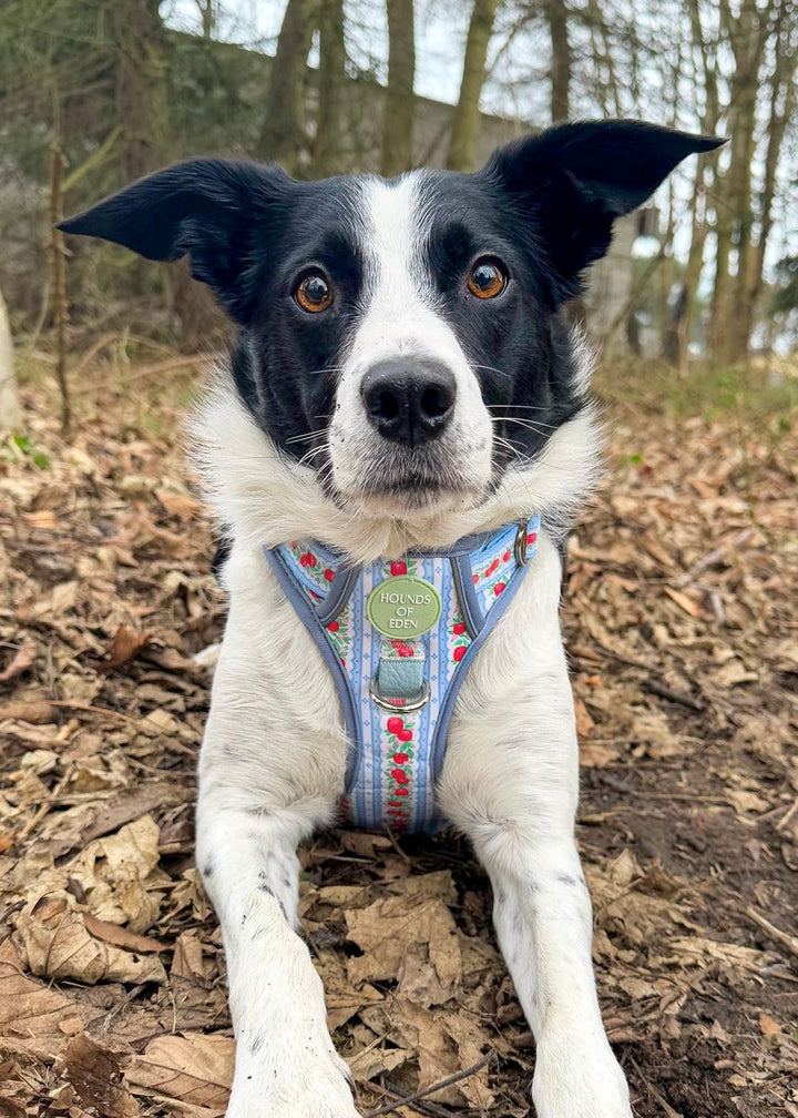 Eden's Orchard - Poop Bag Holder