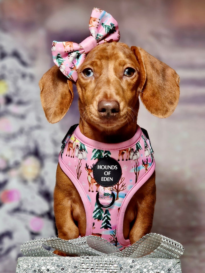 Aurora Nights - Pink Penguin Design Dog Harness