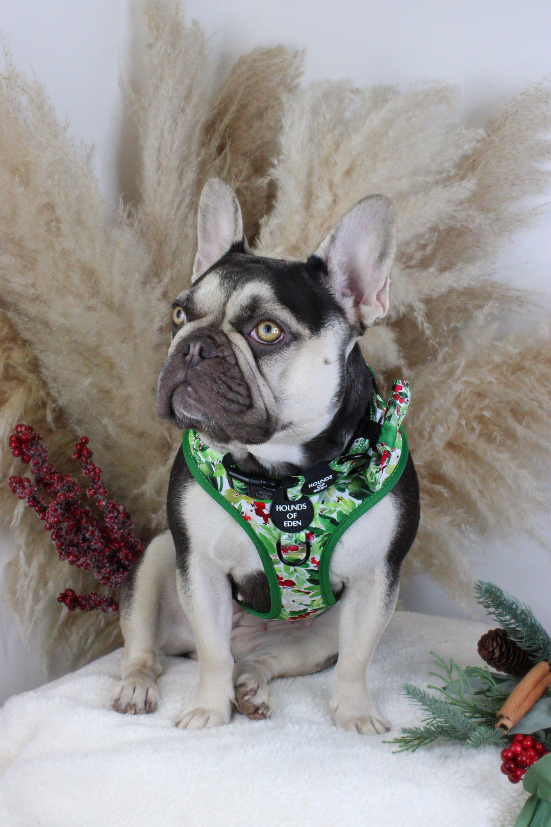 Collar para perro con diseño de abeto y bayas de invierno