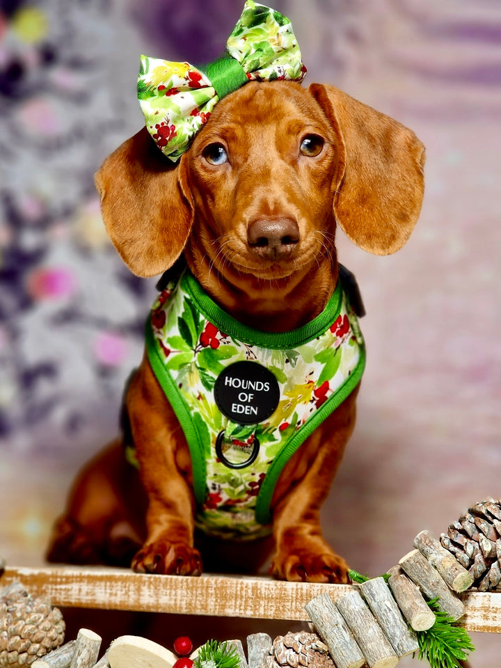 Collar para perro con diseño de abeto y bayas de invierno