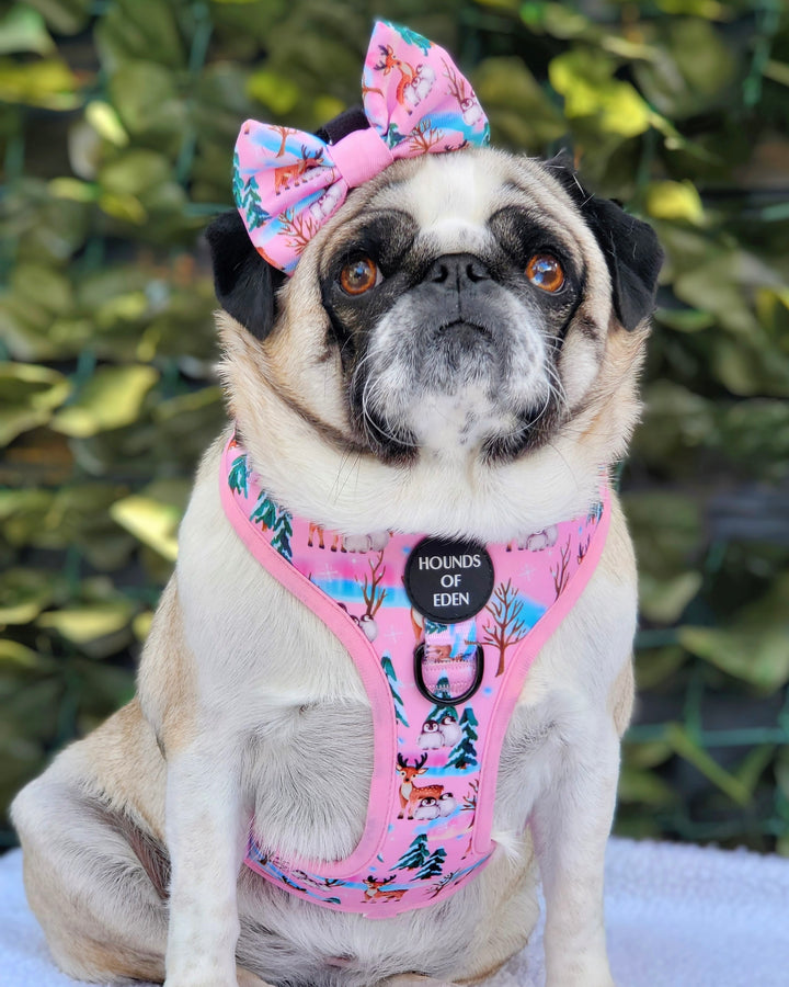 Aurora Nights - Pink Penguin Design Dog Harness