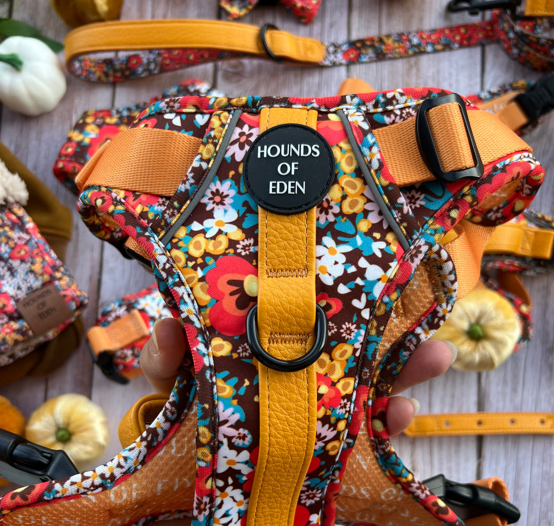 Retro Bloom Leather Dog Collar