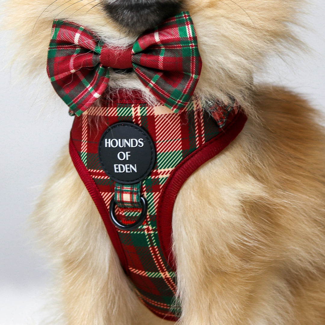 Tartan Me Up - Pajarita para perro con diseño de tartán rojo y crema