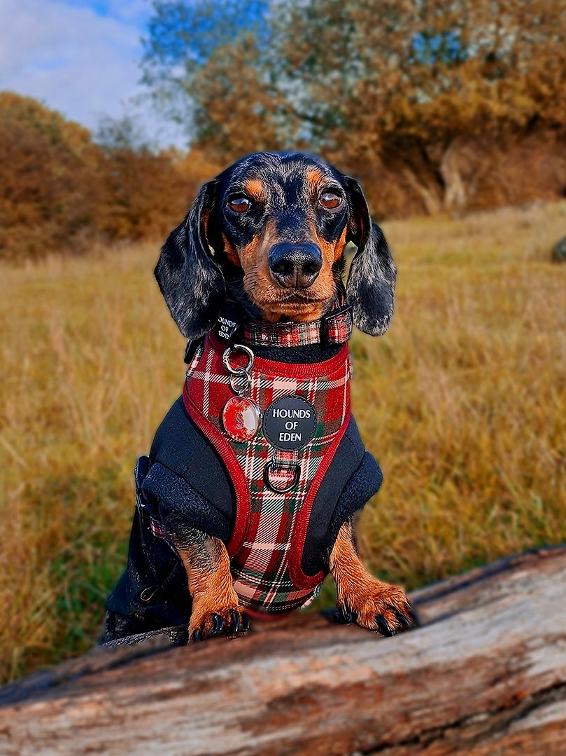 Tartan Me Up - Collar para perros con diseño de tartán rojo y crema