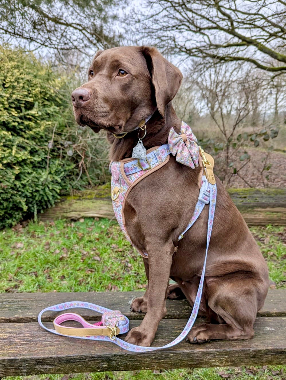 Pastel Petals - Leather Dog Lead