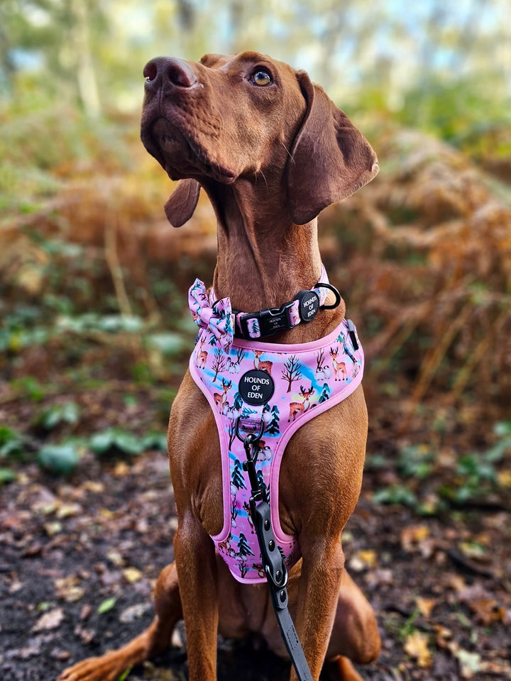 Aurora Nights - Collar para perro con diseño de pingüino rosa