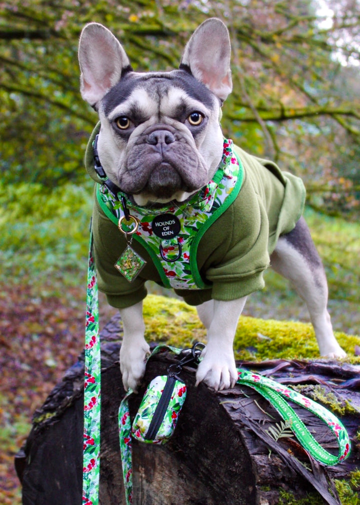 Collar para perro con diseño de abeto y bayas de invierno