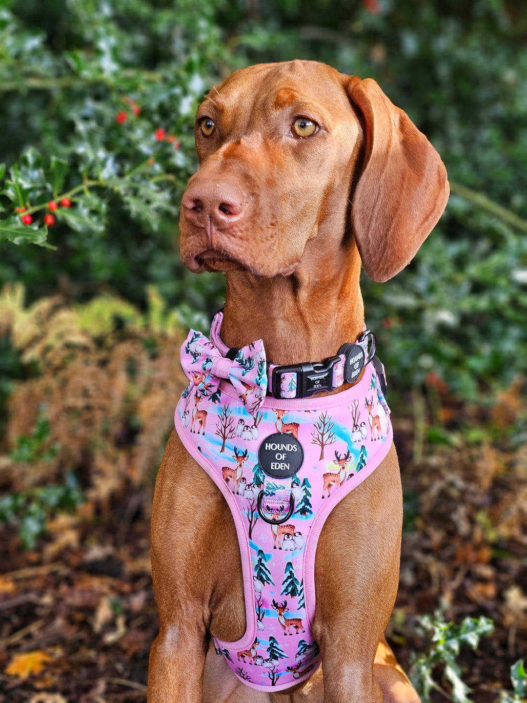 Aurora Nights - Pink Penguin Design Dog Lead