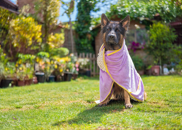 Daisy Dreams - Dog Towel + Carry Bag