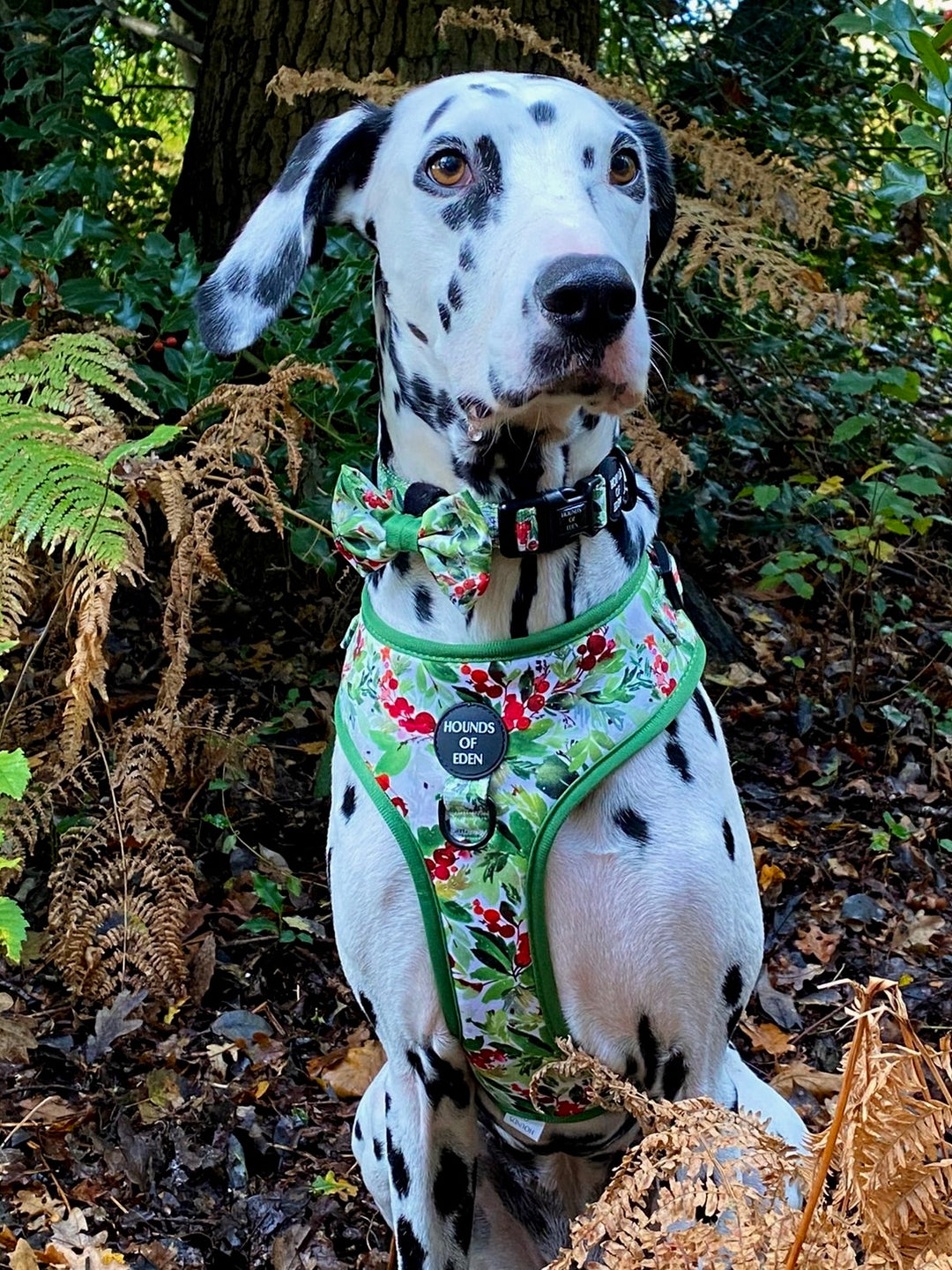 Arnés para perros con diseño de abeto y bayas de invierno 