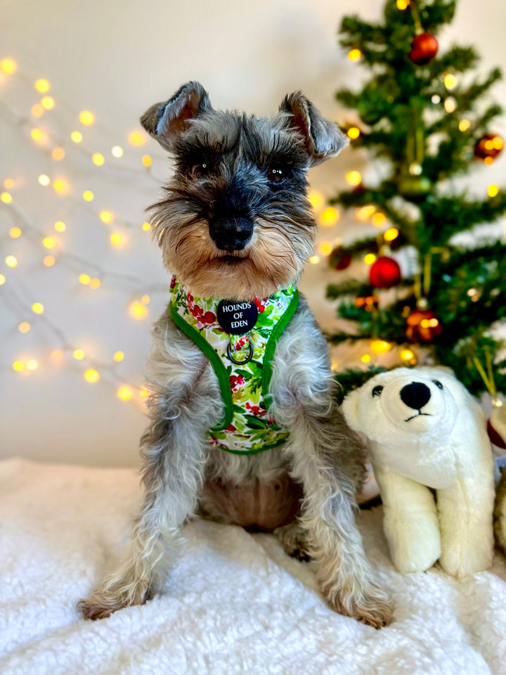 Collar para perro con diseño de abeto y bayas de invierno