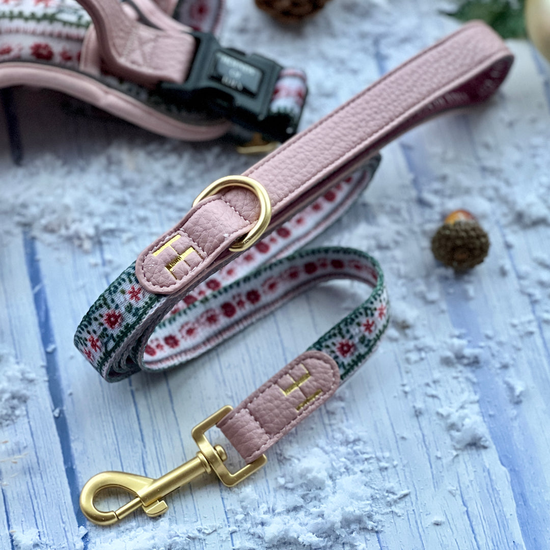 Bella's Jumper Dog Collar + Tag Holder