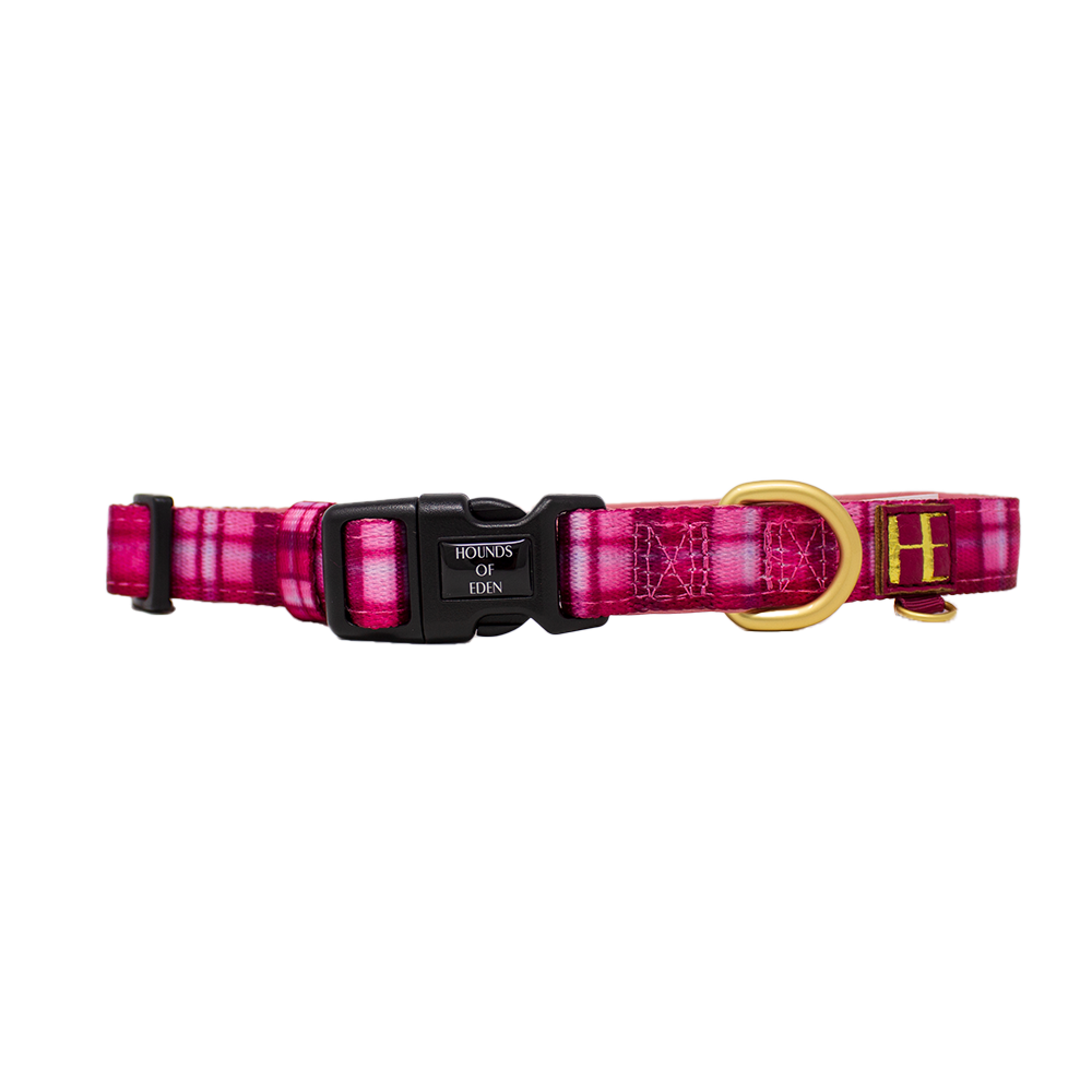 Rose Berry Plaid Dog Collar + Tag Holder