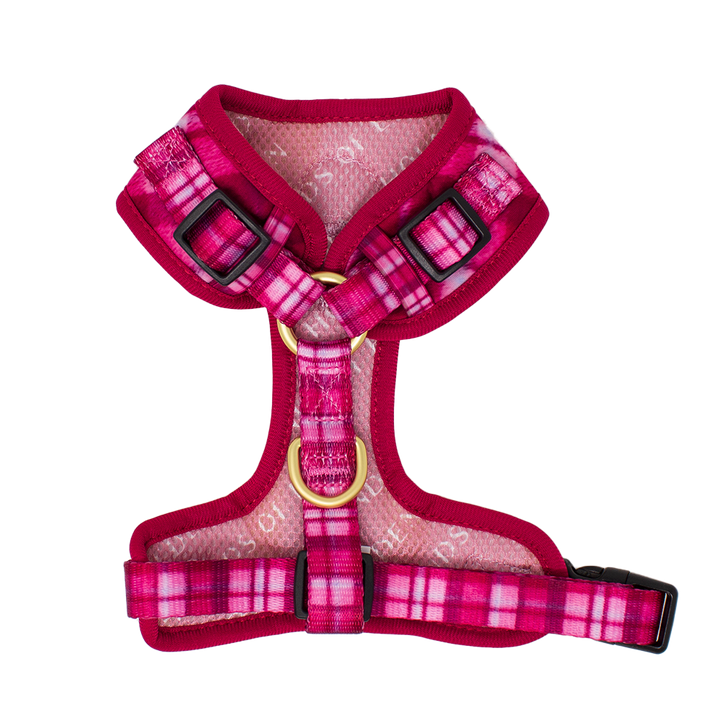 Rose Berry Plaid Dog Collar + Tag Holder