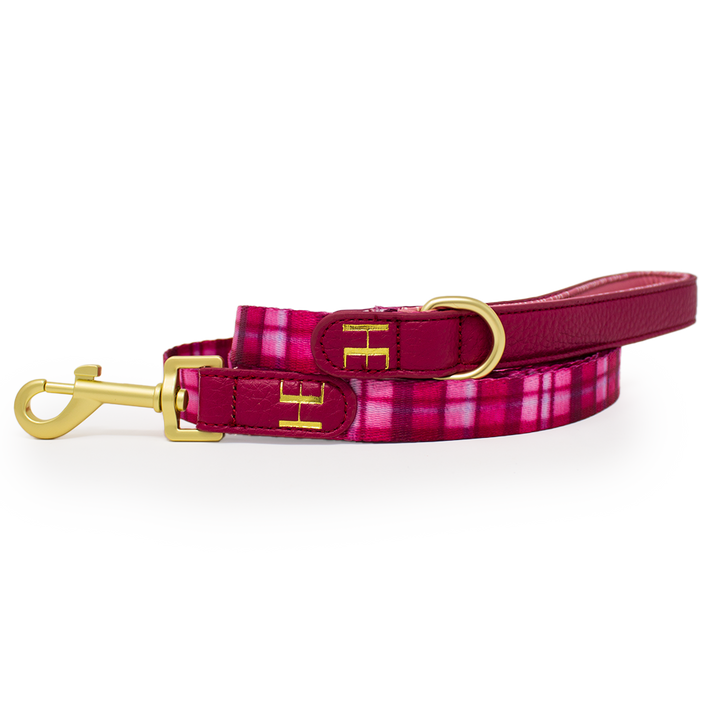 Rose Berry Plaid Dog Collar + Tag Holder