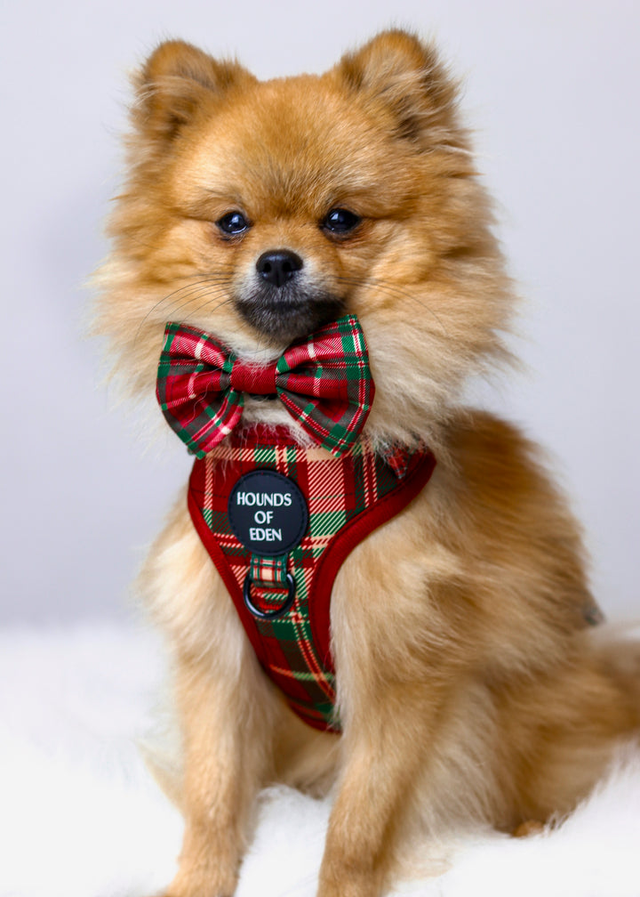 Tartan Me Up - Red & Cream Tartan Design Dog Bow Tie