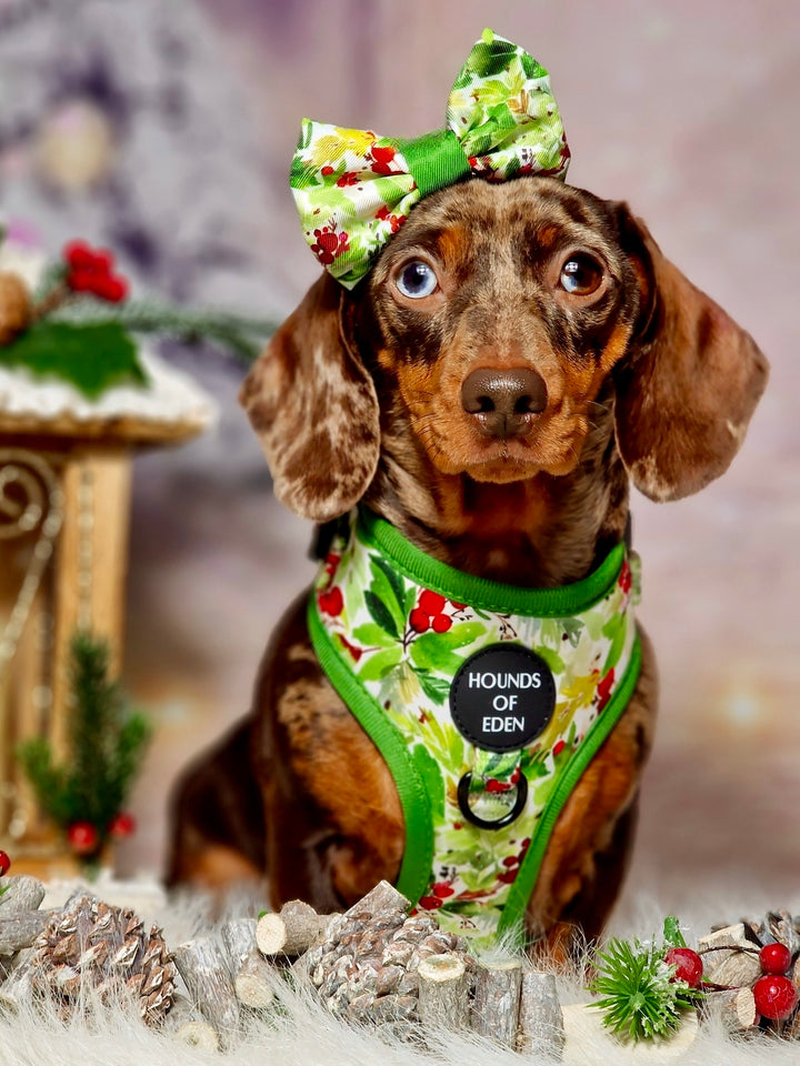 Arnés para perros con diseño de abeto y bayas de invierno 