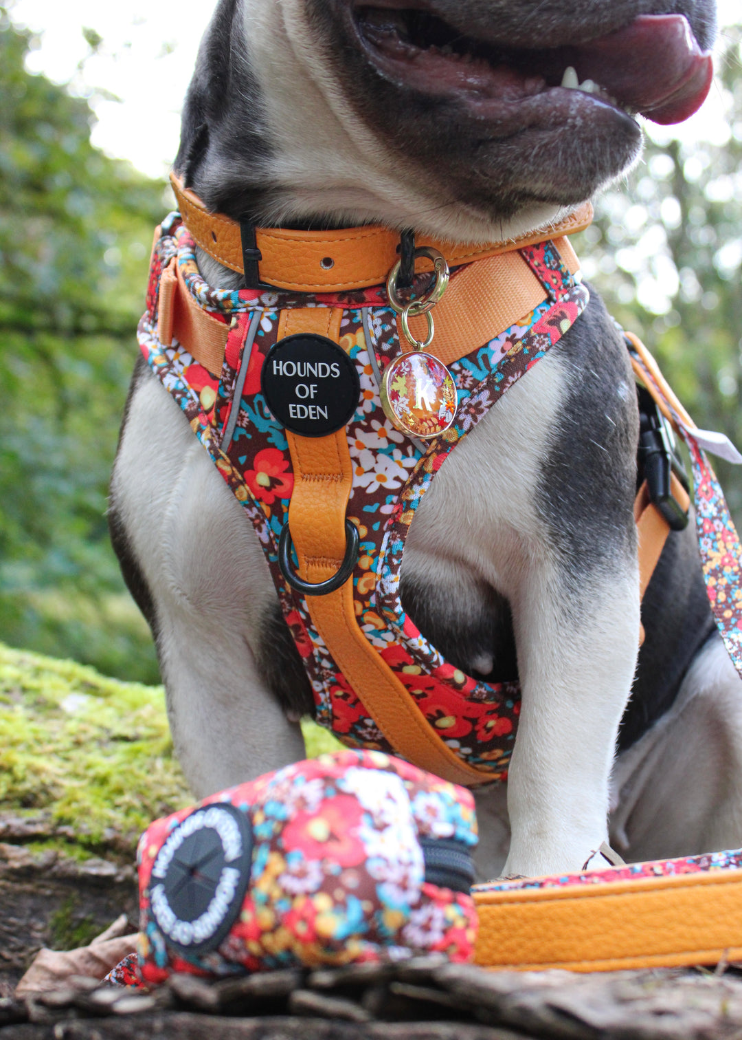 Retro Bloom Leather Dog Collar