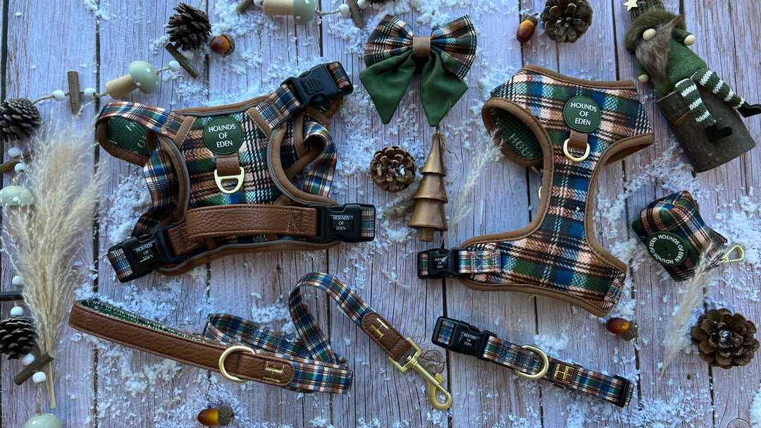 Oak Forest Plaid Dog Collar + Tag Holder