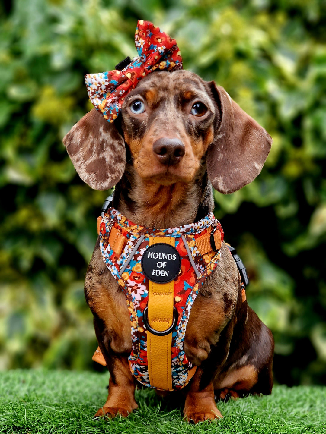 Collar de perro de cuero flor retro