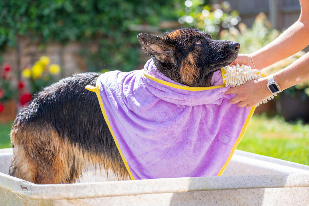 Daisy Dreams - Dog Towel + Carry Bag