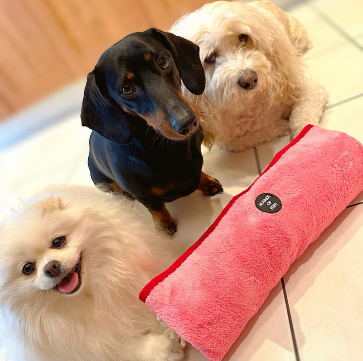 Strawberry Patch - Dog Towel + Carry Bag