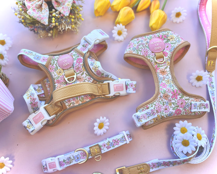 Pastel Petals - Dog Harness (XXS-XS)