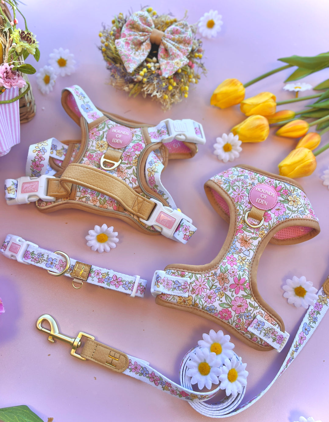 Pastel Petals - Dog Collar + ID Tag Holder