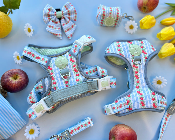 Eden's Orchard - Dog Sailor Bow Tie