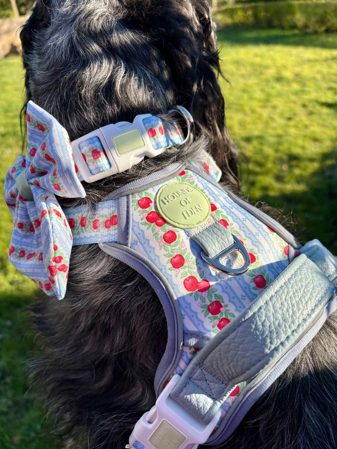 Eden's Orchard - Dog Collar + ID Tag Holder