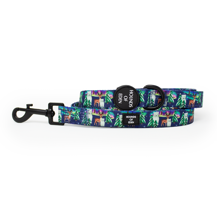 Polar Lights - Navy Polar Bear Design Dog Collar