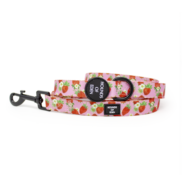 Strawberry Patch Design Dog Lead