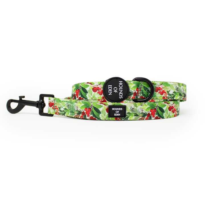 Winter Spruce & Berries Design Dog Lead