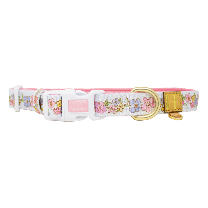 Pastel Petals - Dog Collar + ID Tag Holder