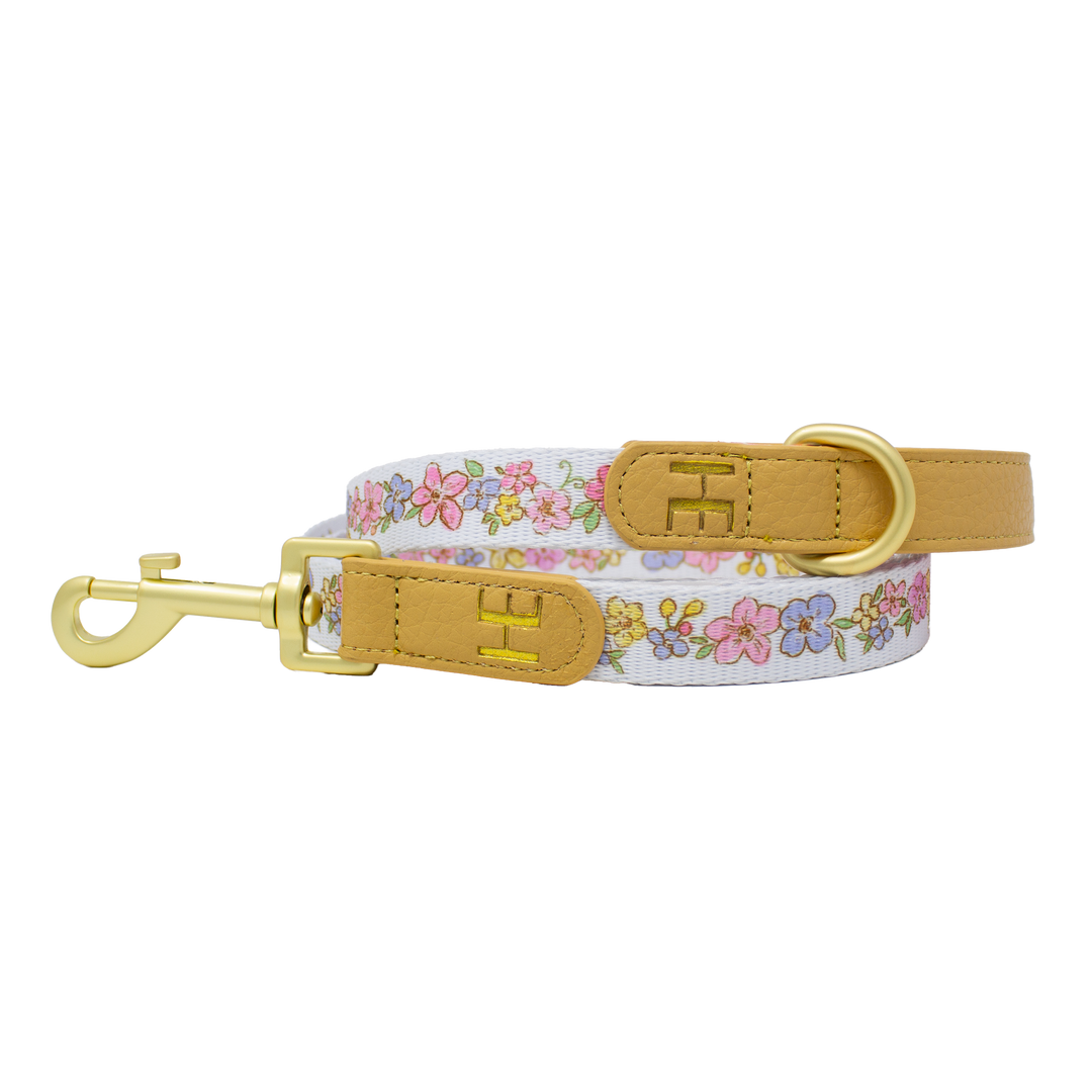 Pastel Petals - Dog Collar + ID Tag Holder