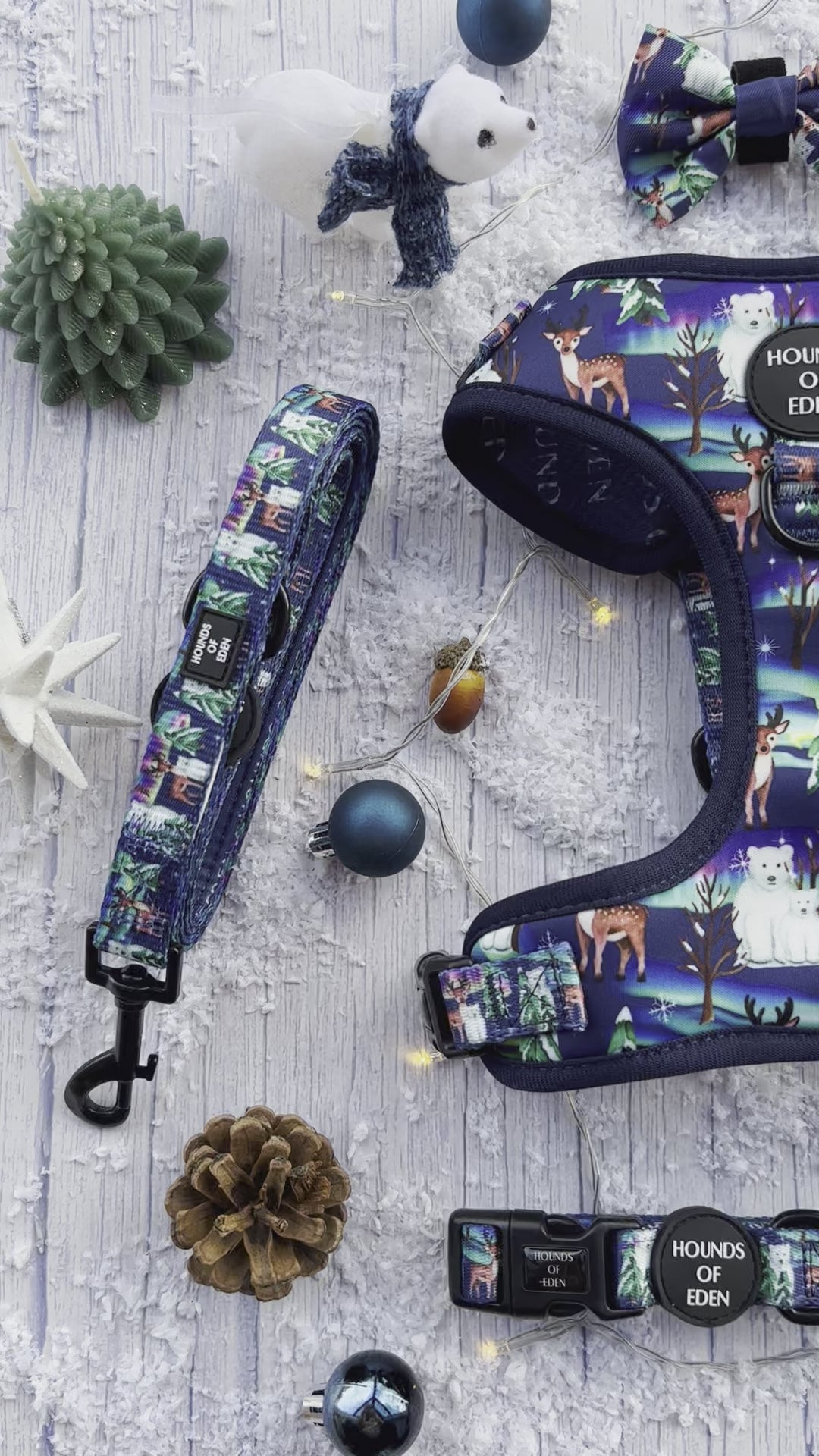 Polar Lights - Navy Polar Bear Design Dog Collar