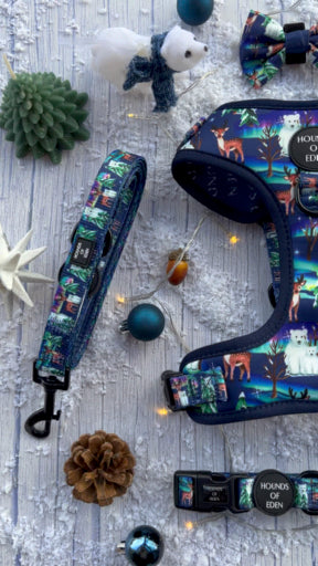 Polar Lights - Navy Polar Bear Design Dog Lead