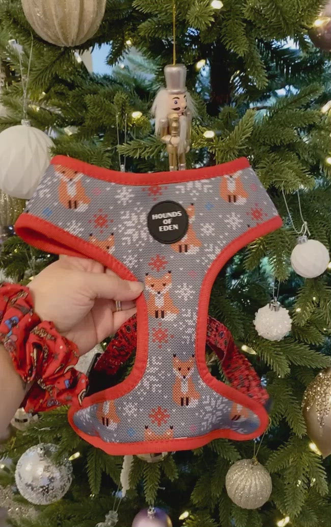 The Foxy Nutcracker - Christmas 'Jumper' Reversible Dog Harness