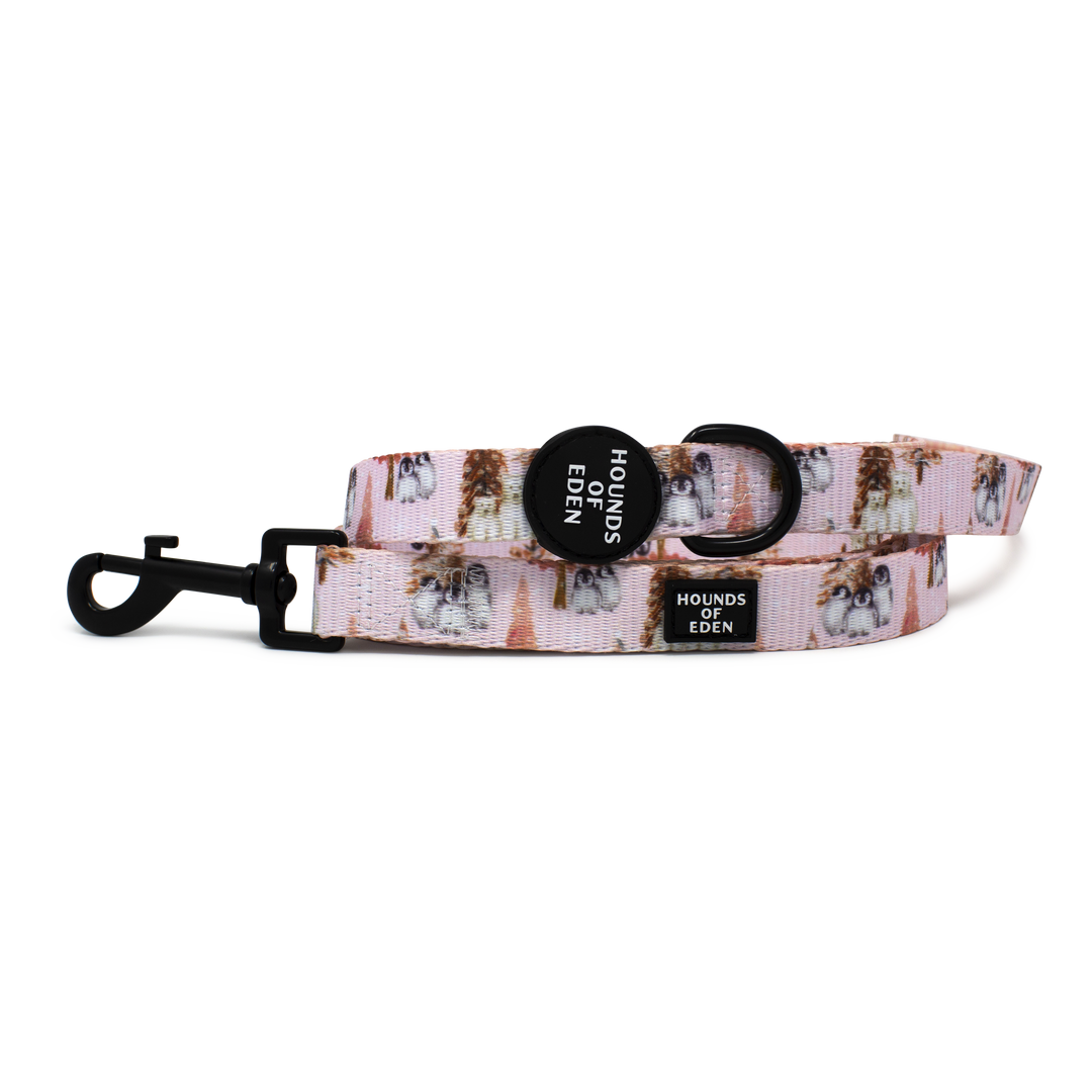 Arctic Wonderland - Dog Collar