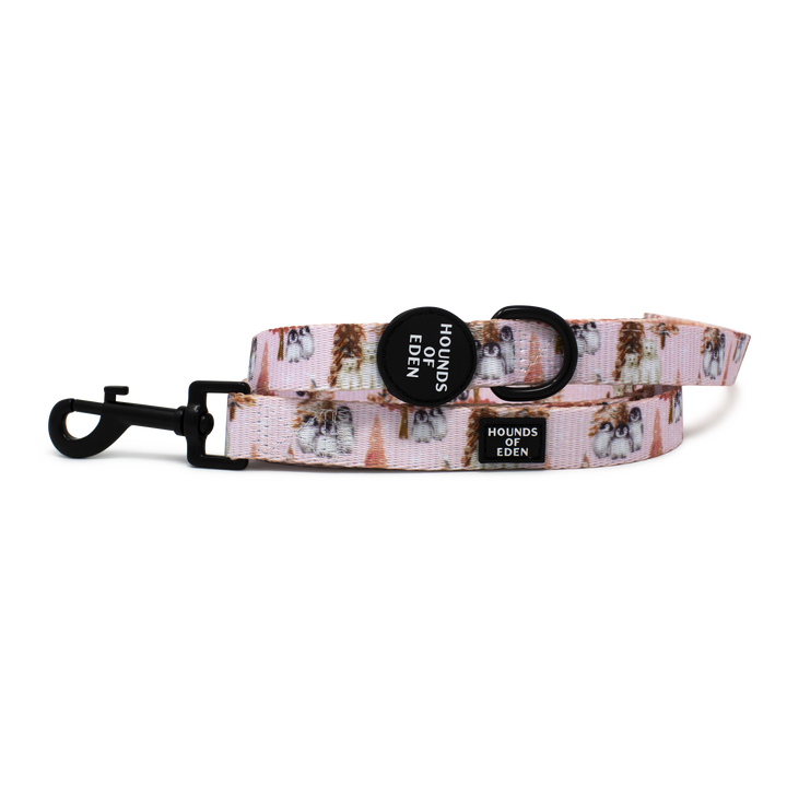 Arctic Wonderland - Dog Collar