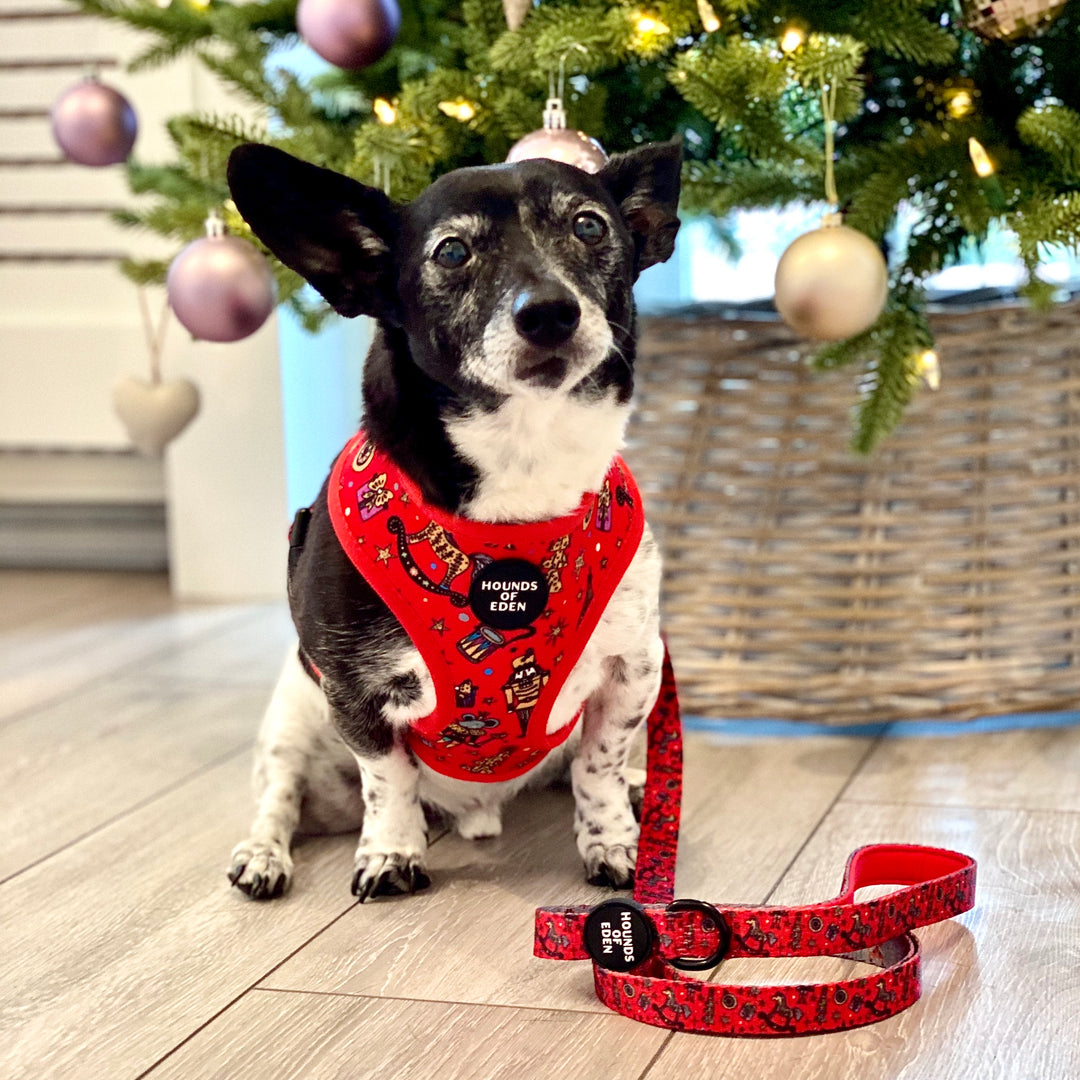 The Foxy Nutcracker - Christmas 'Jumper' Reversible Dog Harness