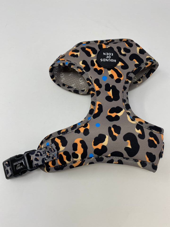 Outlet - PEQUEÑO LEOPARDO DE ACERO - ARNÉS PARA PERRO CAQUI/GRIS - 0011