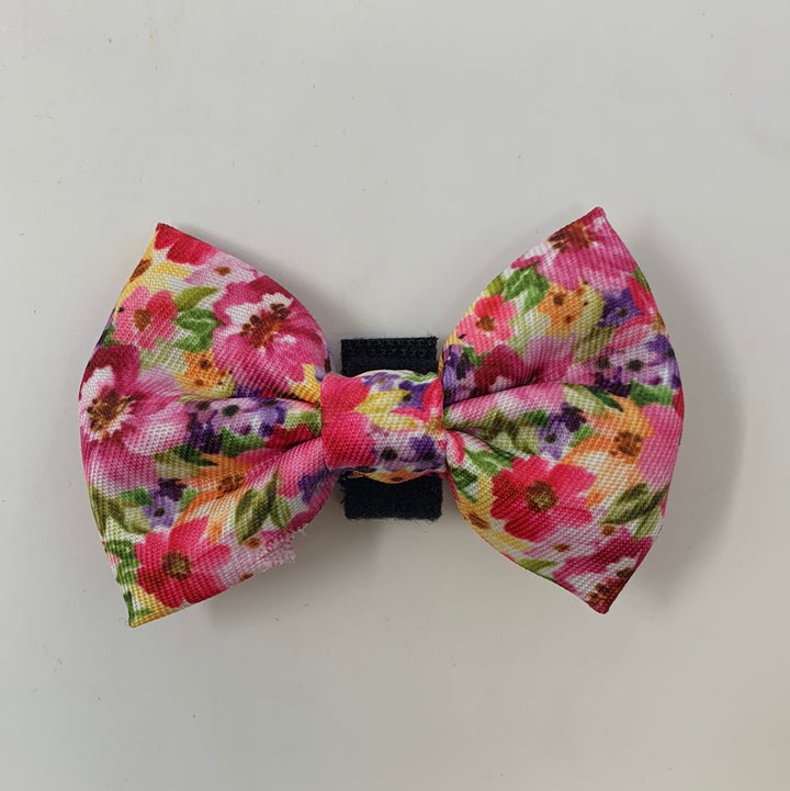 OUTLET-FLORENTINA BOW TIE-0112