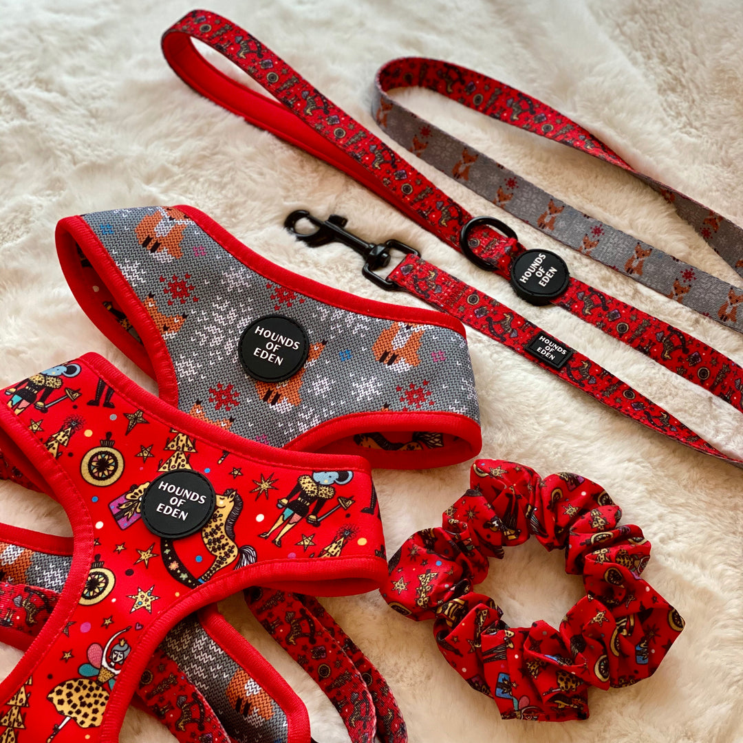 The Foxy Nutcracker - Christmas 'Jumper' Reversible Dog Harness