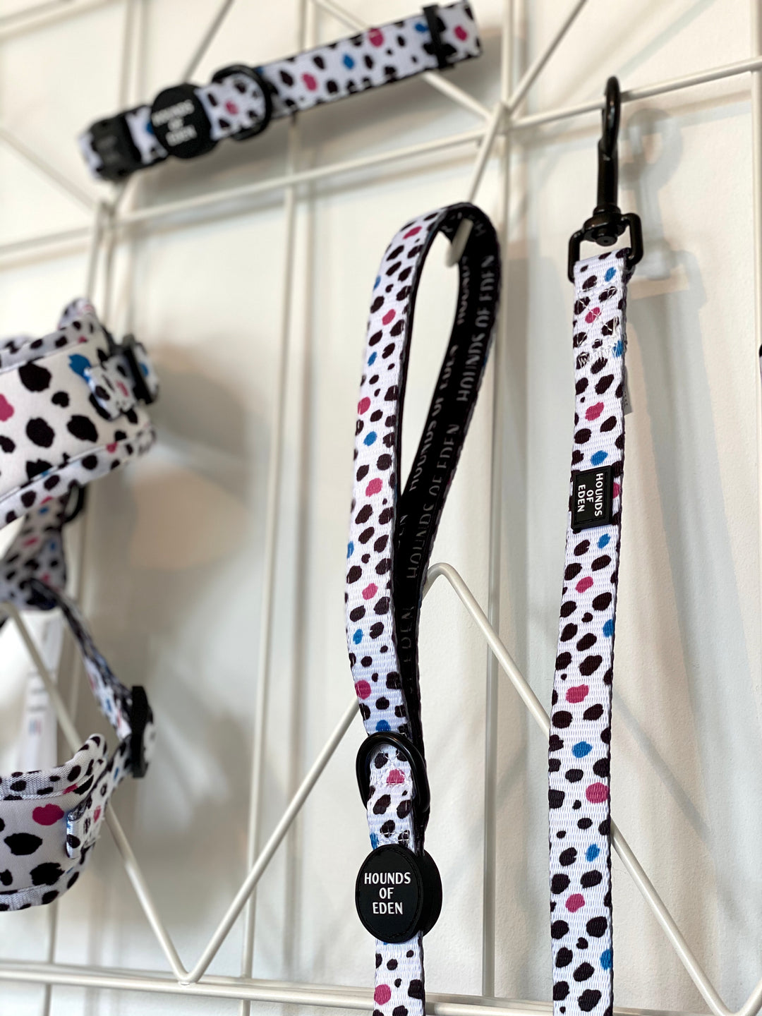 'Spot the Dog' - Pink, Blue & Black Spotted Dog Collar