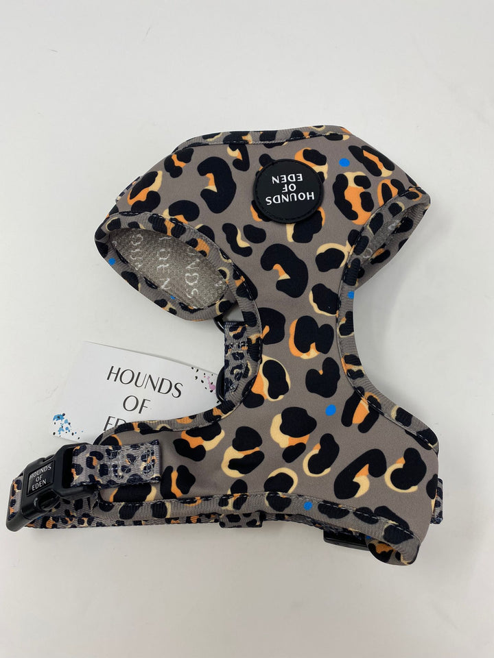 Outlet - PEQUEÑO 'STEEL LEOPARD' - ARNÉS PARA PERRO CAQUI/GRIS - 0030